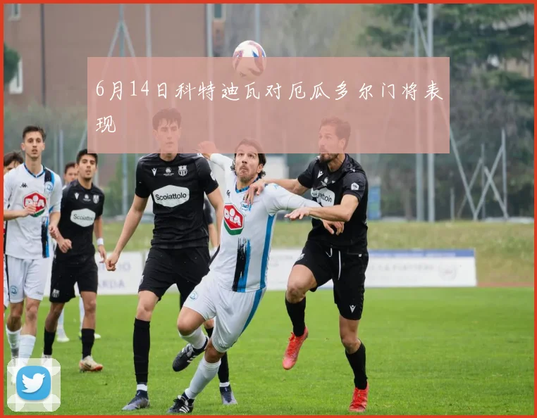 6月14日科特迪瓦对厄瓜多尔门将表现