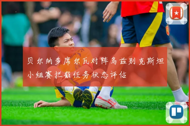 贝尔纳多席尔瓦对阵乌兹别克斯坦小组赛拦截任务状态评估