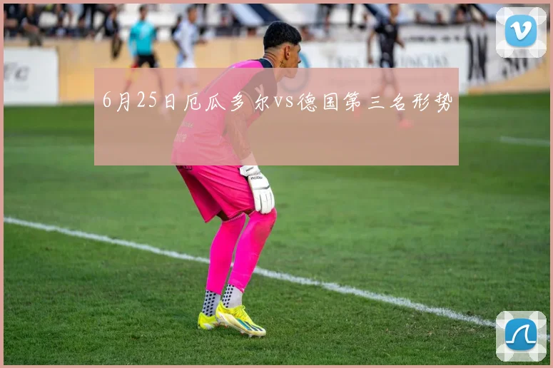 6月25日厄瓜多尔vs德国第三名形势