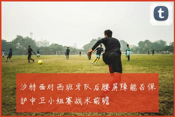 沙特面对西班牙队后腰屏障能否保护中卫小组赛战术前瞻