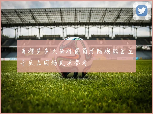 肖穆罗多夫面对葡萄牙防线能否主导反击前场支点参考