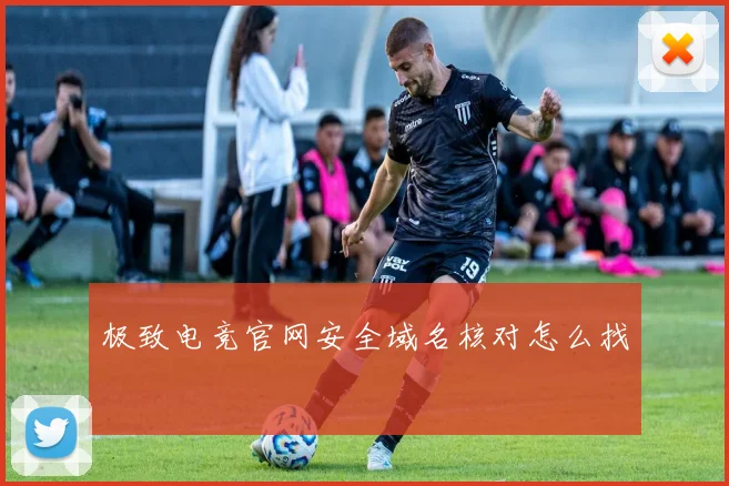 极致电竞官网安全域名核对怎么找