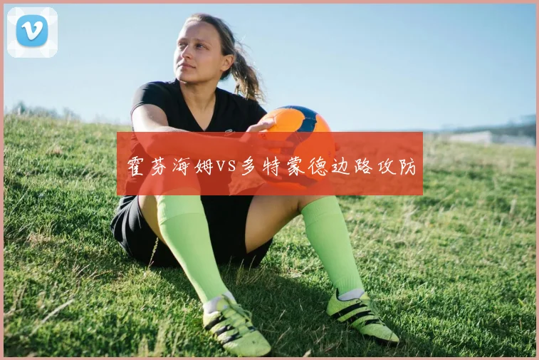 霍芬海姆vs多特蒙德边路攻防
